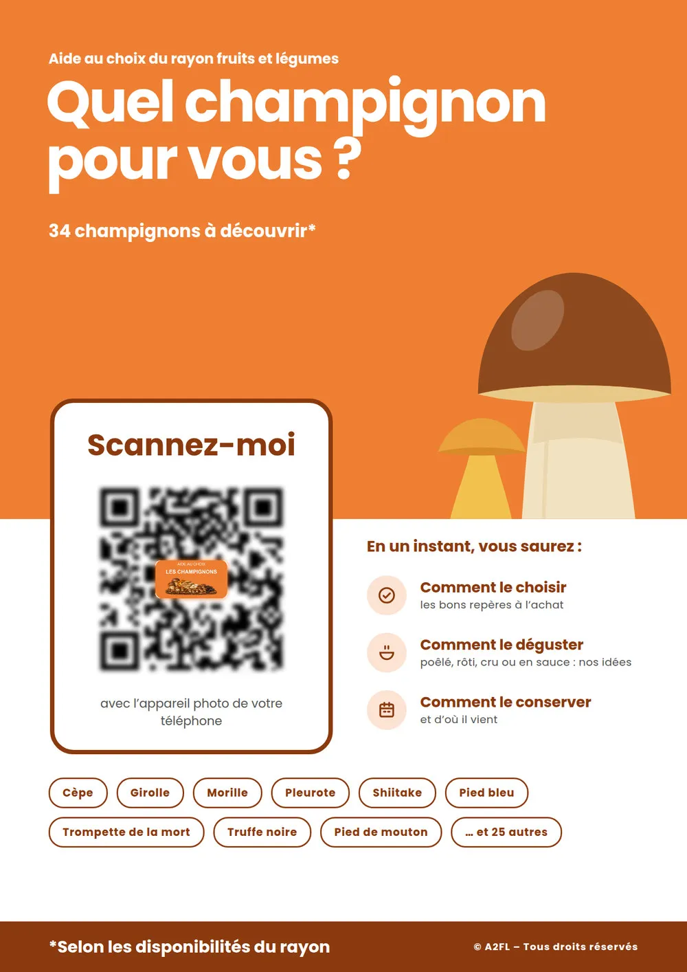 Affiche d'aide au choix « Quel champignon pour vous ? »
