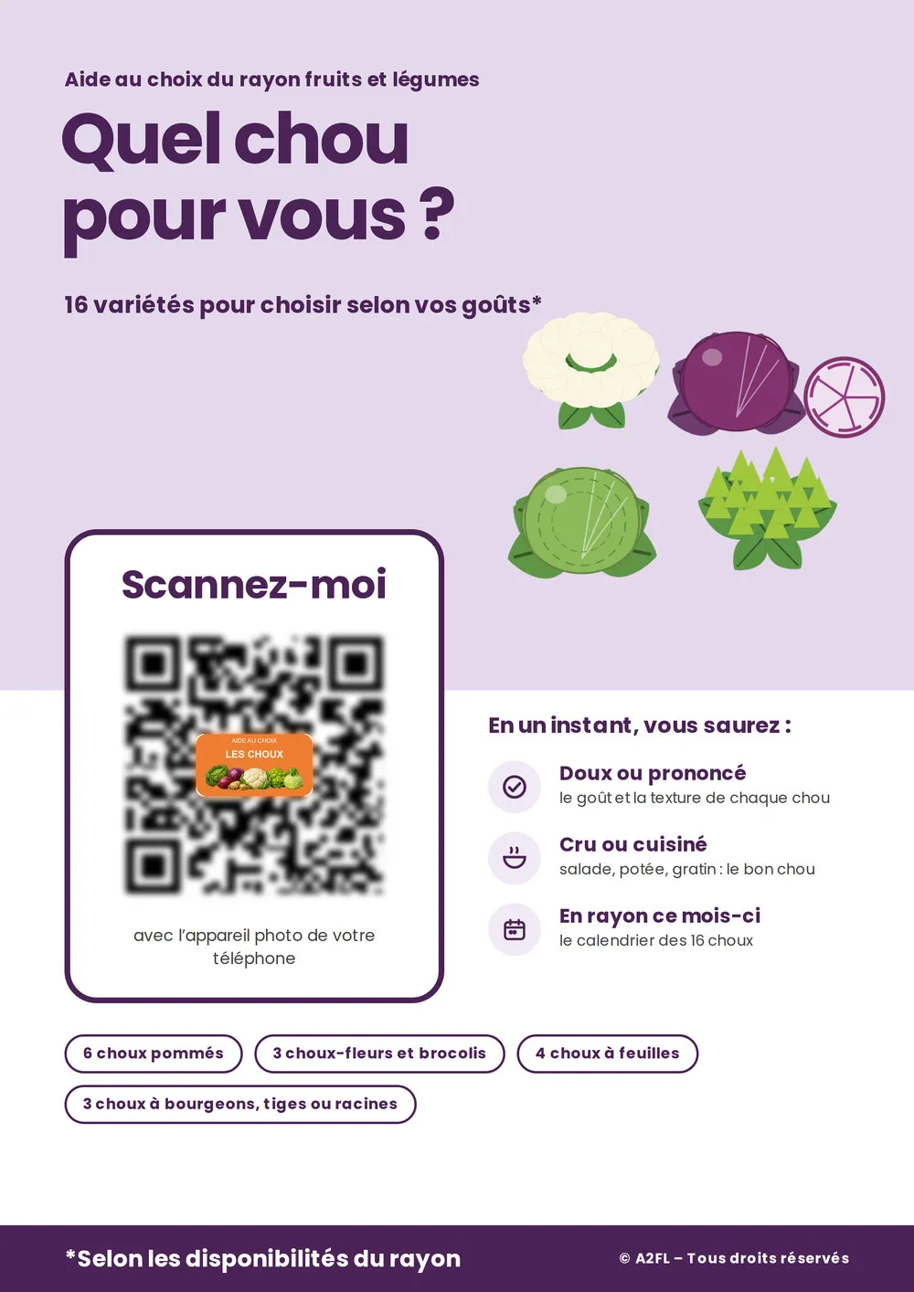 Affiche d'aide au choix « Quel chou pour vous ? », QR code flouté