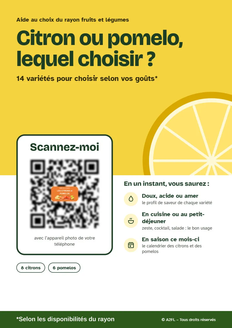 Affiche d'aide au choix « Citron ou pomelo, lequel choisir ? »