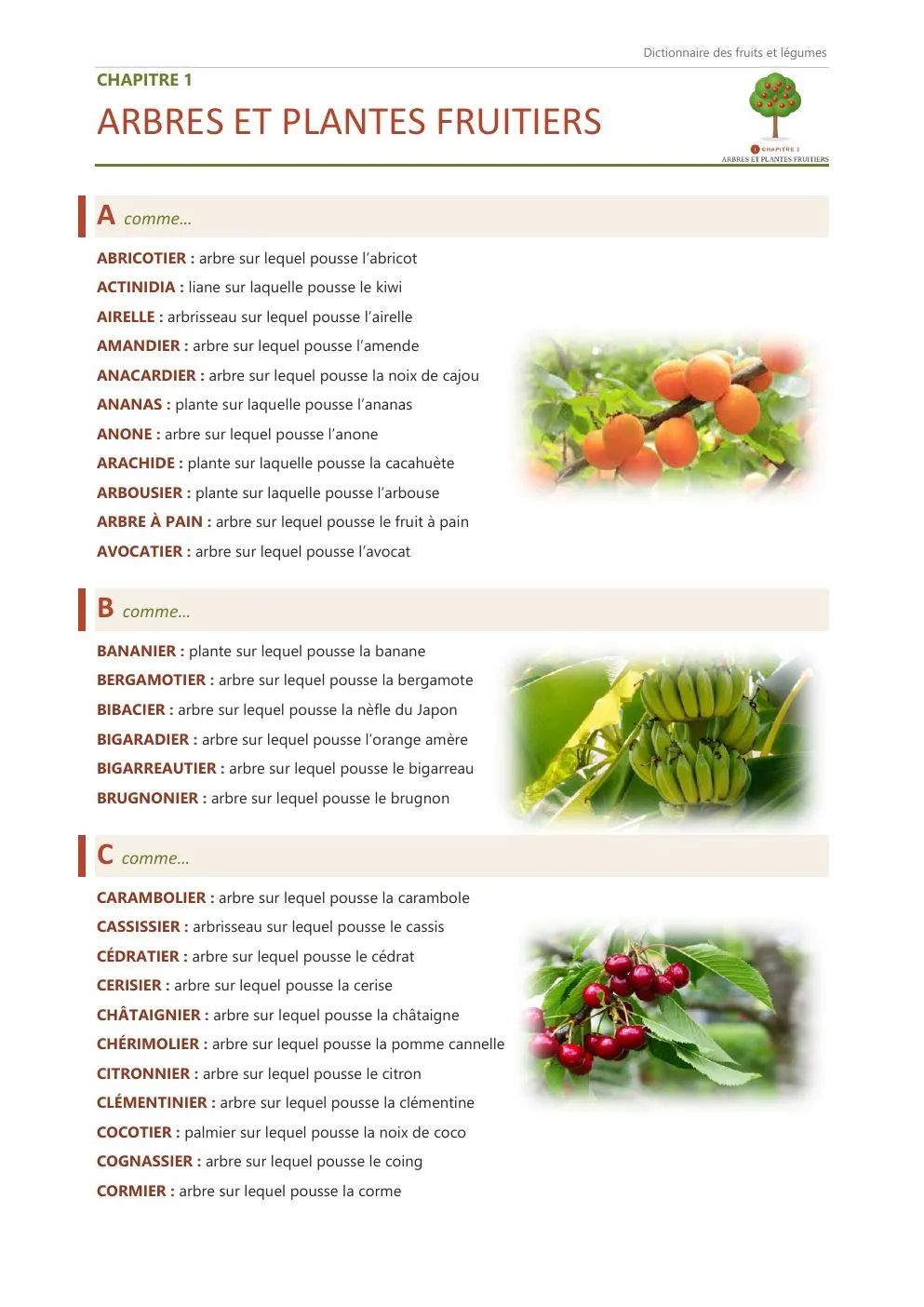 Page du dictionnaire : chapitre 1, « Arbres et plantes fruitiers », de l'abricotier au cormier