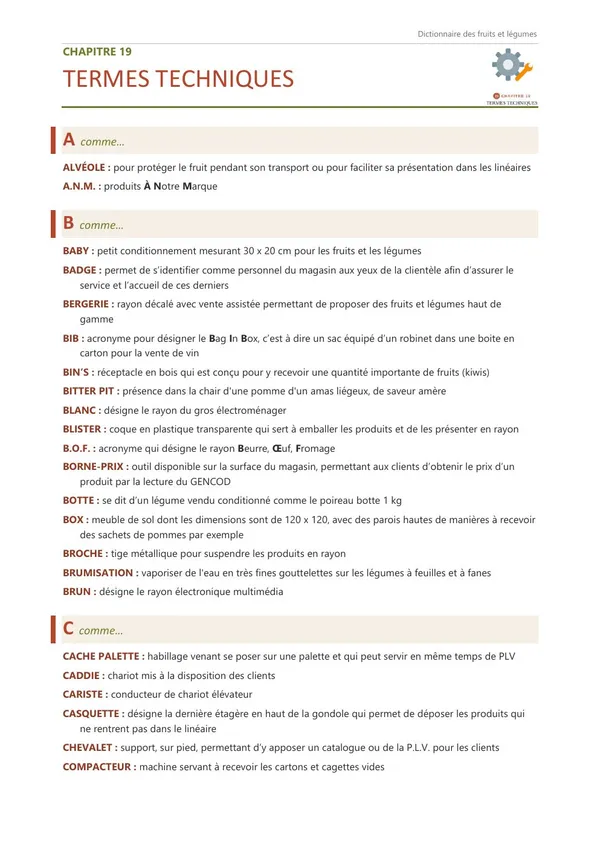 Première page du chapitre 19, Termes techniques, avec ses premières définitions.