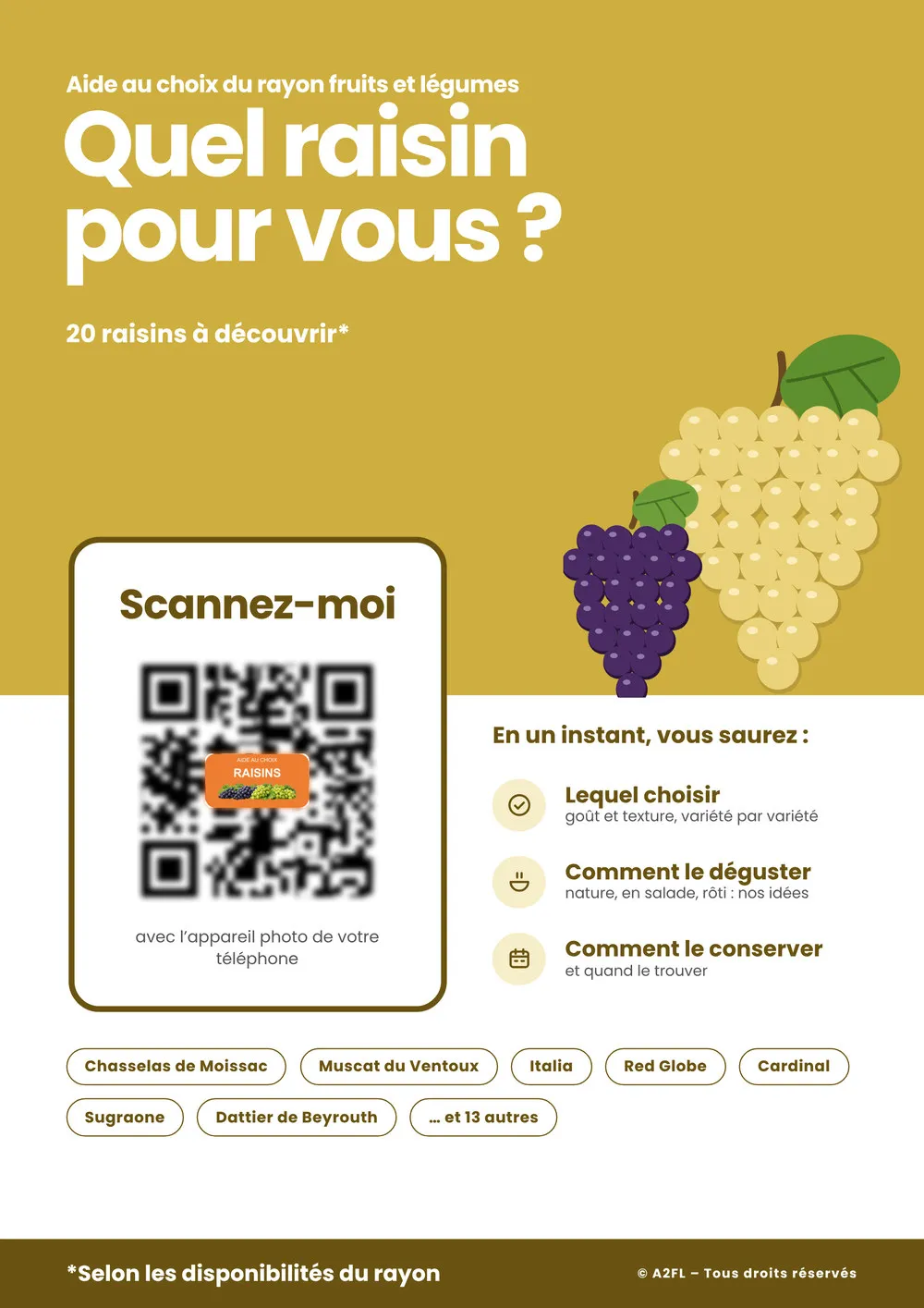 Affiche d'aide au choix « Quel raisin pour vous ? »